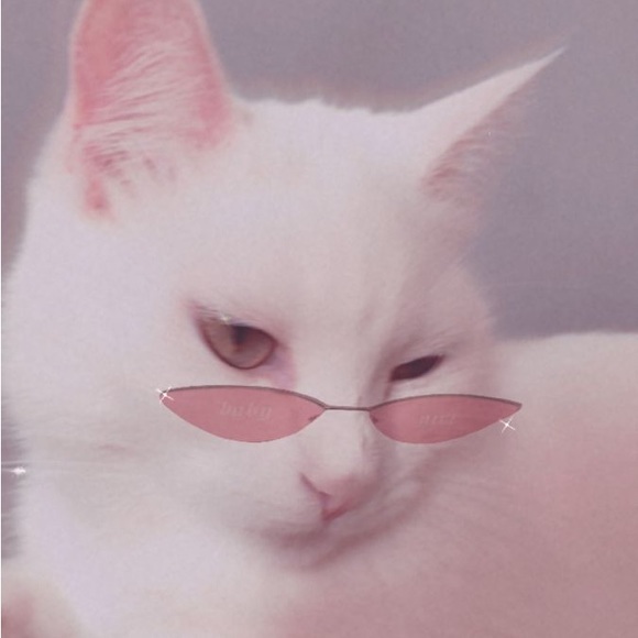 Meet your Posher, Patricia - Picture 1 of 1